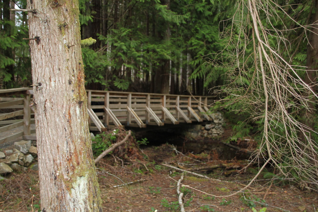 Lighthouse Country trail by kathyo