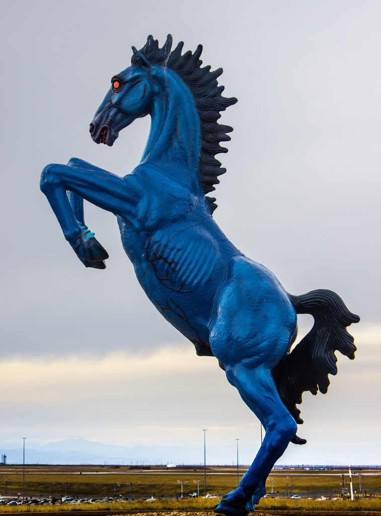 Blue Mustang by aecasey