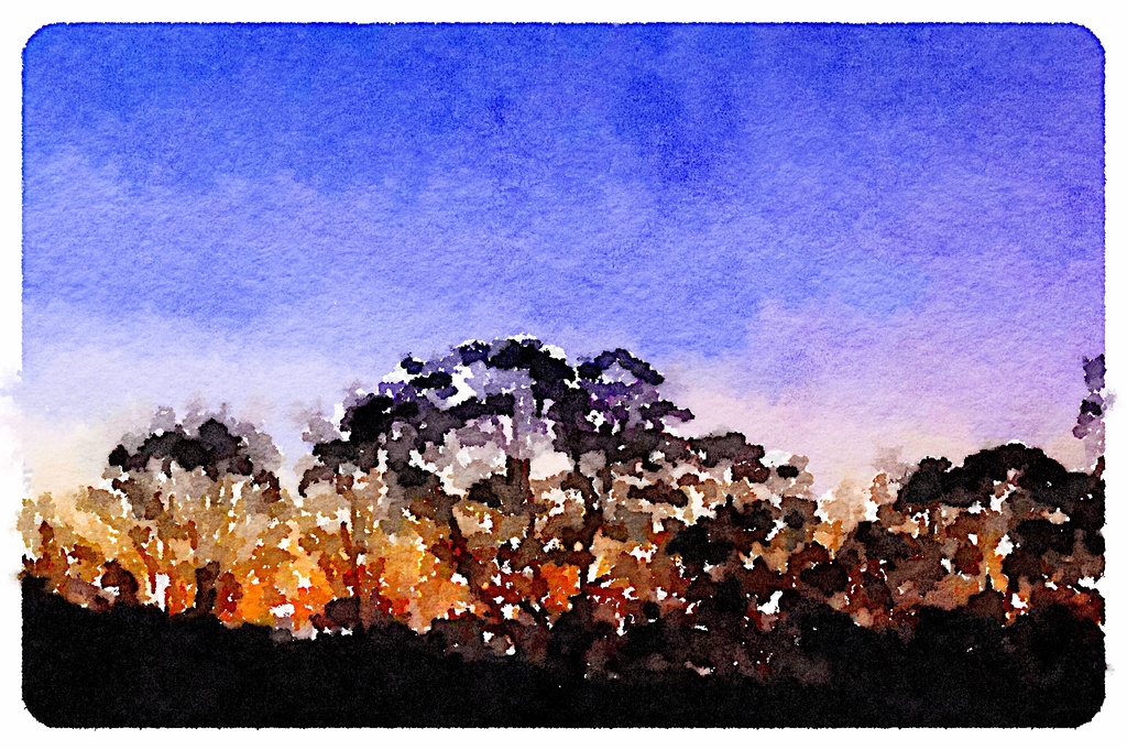 Watercolour dusk by corymbia