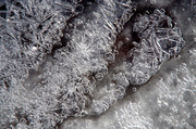 23rd Mar 2014 - Ice Abstract - Spring version
