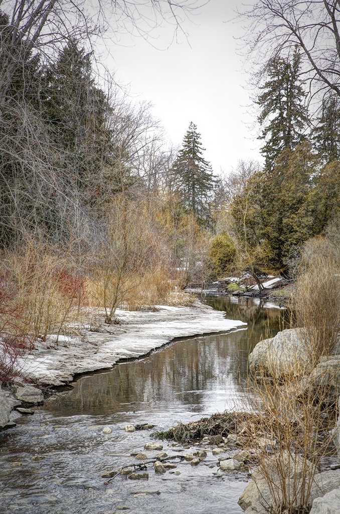 Small Creek by gardencat