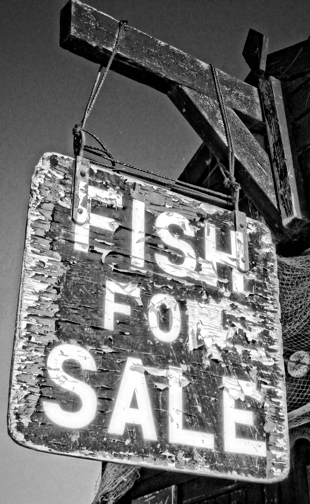Fish for sale by karendalling