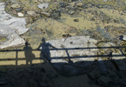 24th Mar 2014 - Checking out the rockpools