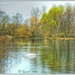 The Lake,Delapre Abbey Gardens,Northampton by carolmw