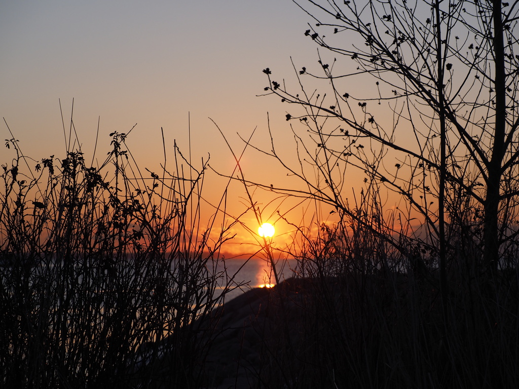 Sunrise and Silhouettes by selkie