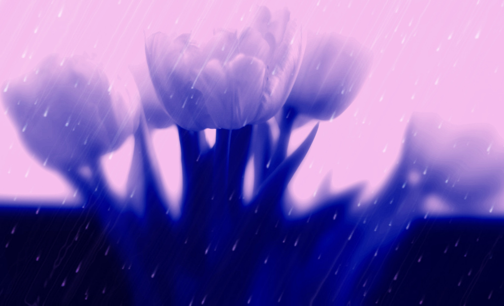 Purple Rain by susale