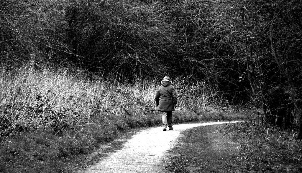 A lone walker in the Hobbucks by phil_howcroft