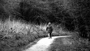23rd Mar 2014 - A lone walker in the Hobbucks