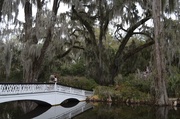 23rd Mar 2014 - Magnolia Gardens, Charleston, SC