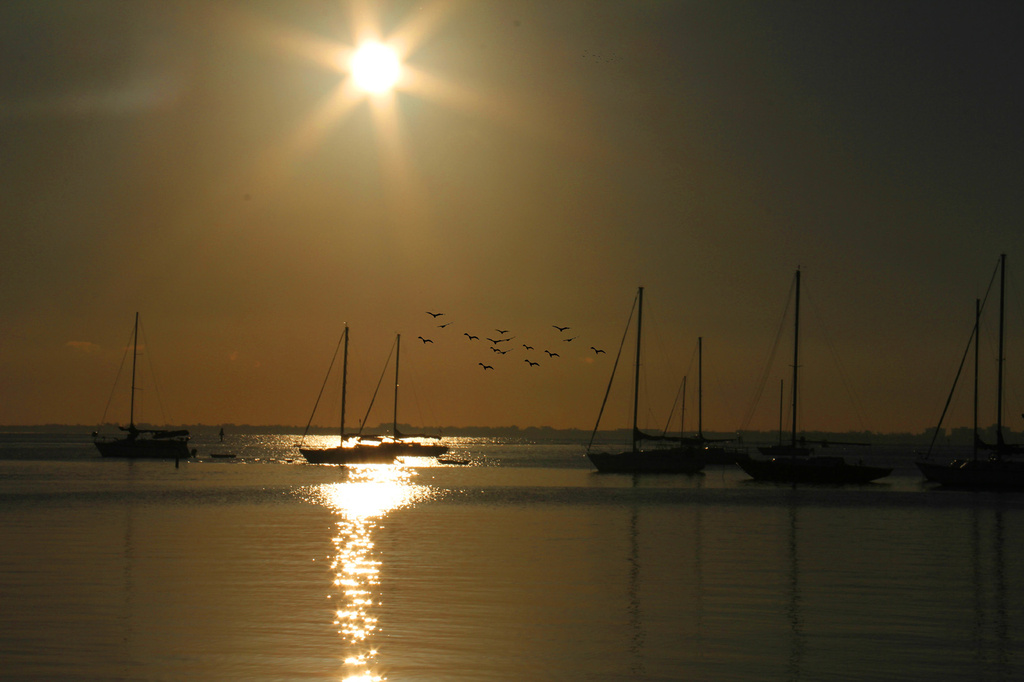 Sunset Marina by pdulis