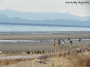 24th Mar 2014 - Walk on the sea walk - Qualicum Beach