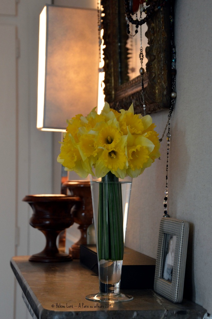 Daffodils from the garden are in Paris by parisouailleurs