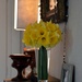 Daffodils from the garden are in Paris by parisouailleurs