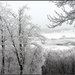Frozen Fields by cindymc