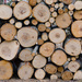 Wood Pile by mccarth1