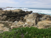 4th Mar 2014 - Seaside View