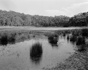 26th Mar 2014 - Blacks Waterhole