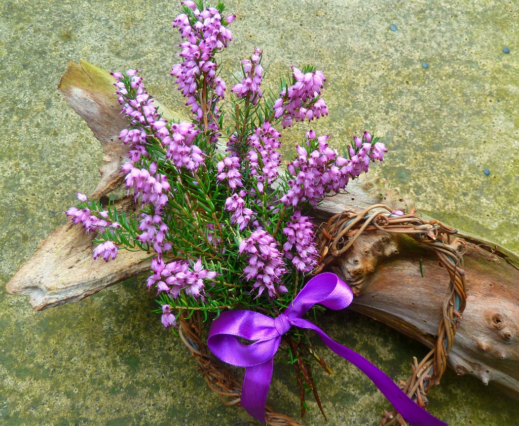 Muse-in-March Purple. Heather posy by wendyfrost
