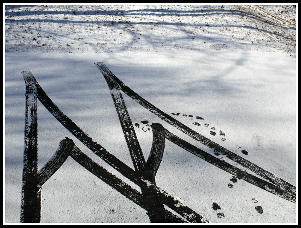 Portrait of tire tracks... by mittens