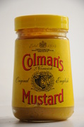 26th Mar 2014 - Mustard