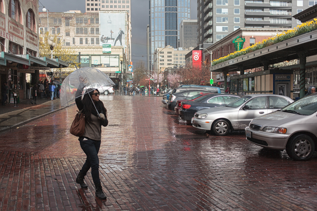 Another Spring Rain Day In The Northwest!  by seattle