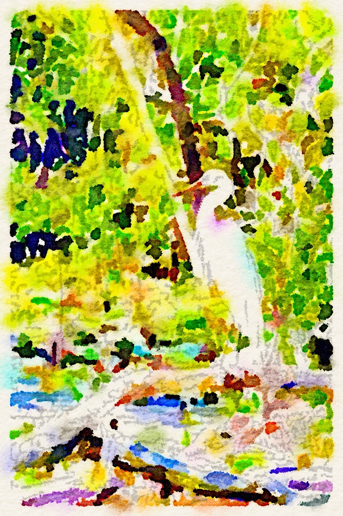 Egret by corymbia
