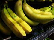 24th Mar 2014 - Bananas