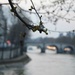 Buds hatch over the Seine by parisouailleurs