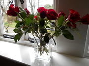 27th Mar 2014 - Roses in my window.