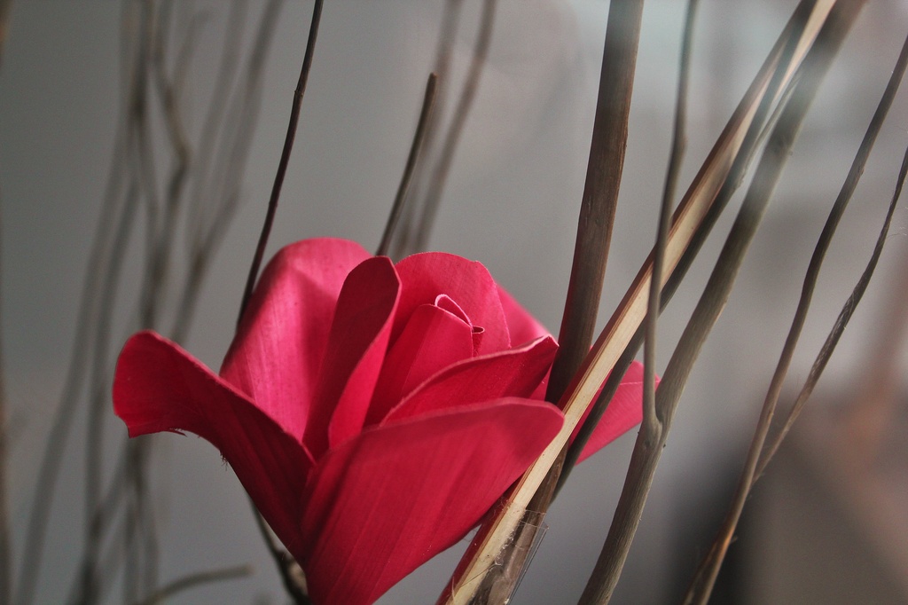 sticks and flower by edorreandresen