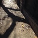 Shadows on sidewalk, historic district, Charleston, SC by congaree