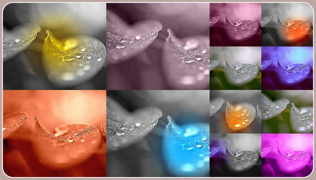  Magical water drop color collage by dianeburns