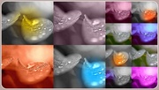 29th Mar 2014 -  Magical water drop color collage