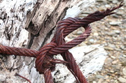 29th Mar 2014 - Knotted rust