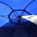 Under the Umbrella by linnypinny