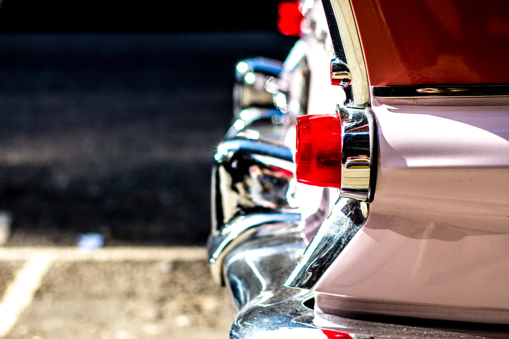 Tail fins ... by edpartridge
