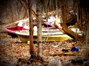 28th Mar 2014 - Boats in the Woods