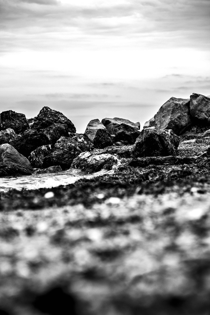 The rocks by corymbia