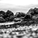 The rocks by corymbia