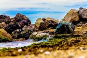30th Mar 2014 - On the rocks