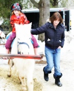 25th Mar 2014 - pony ride