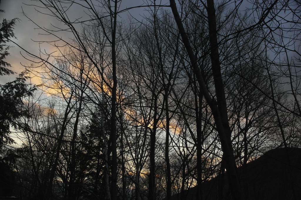 Dawn's early light by studiouno
