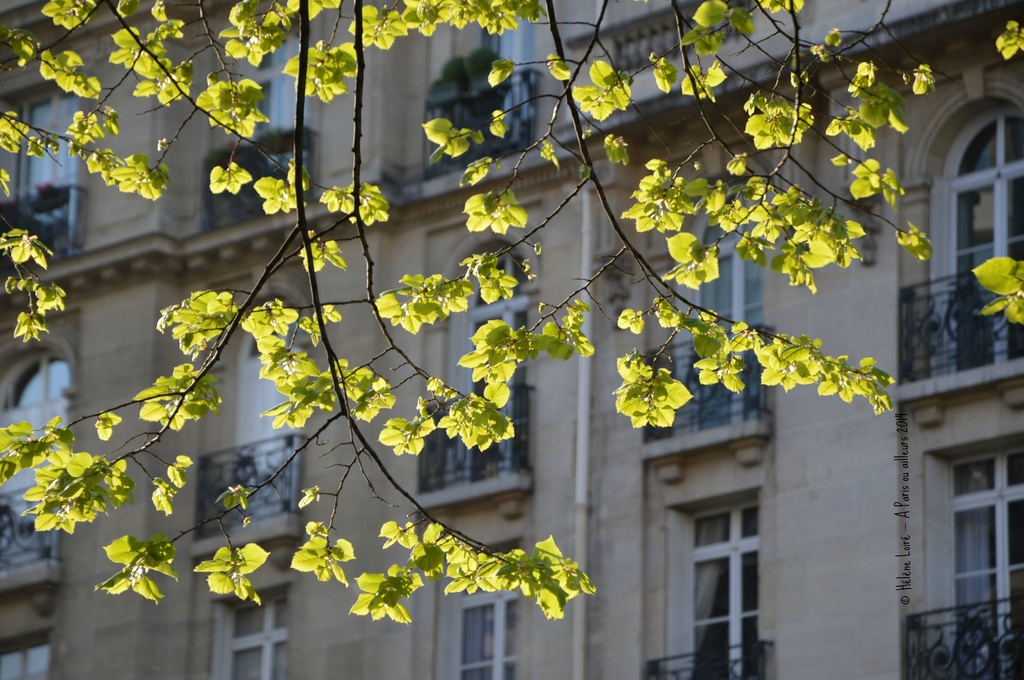 Sunny spring day by parisouailleurs