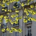 Sunny spring day by parisouailleurs