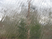 30th Mar 2014 - Looking through the windshield on a rainy day.