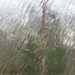 Looking through the windshield on a rainy day. by april16