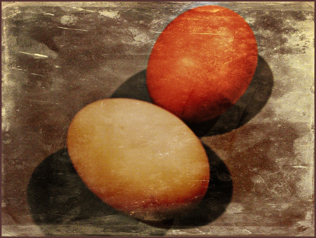 Eggs by olivetreeann