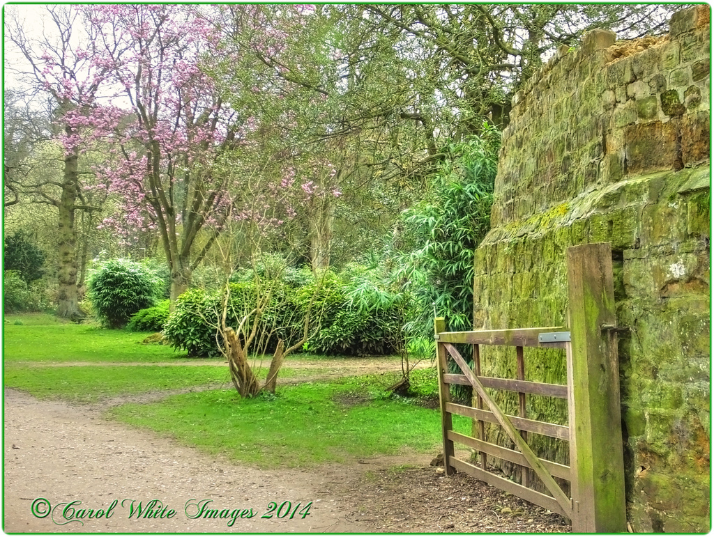 Gateway To A Garden by carolmw