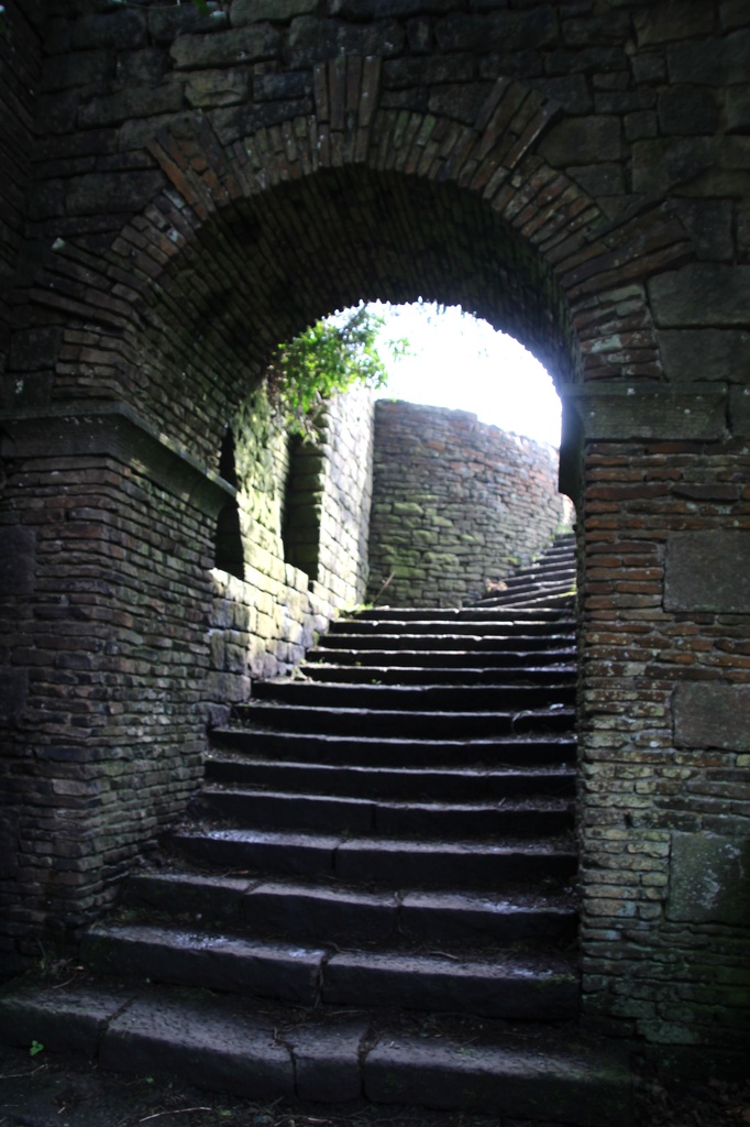 Steps in the Terrace gardens of Lord Leverhulmes estate at Rivington  by oldjosh