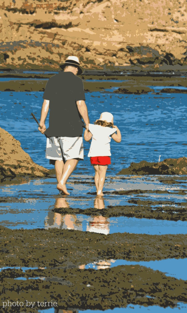 Walking the rock pools posterize style by teodw